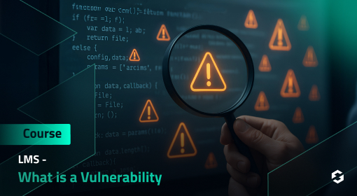 What is a Vulnerability